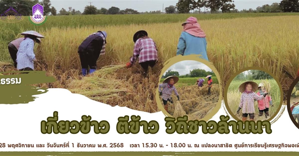 กิจกรรมวีถีวัฒนธรรมแห่งท้องทุ่ง
“เกี่ยวข้าว ตีข้าว วิถีชาวล้านนา”  (วันเกี่ยวข้าว)